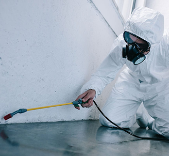 Kağıthane Böcek İlaçlama Hizmeti