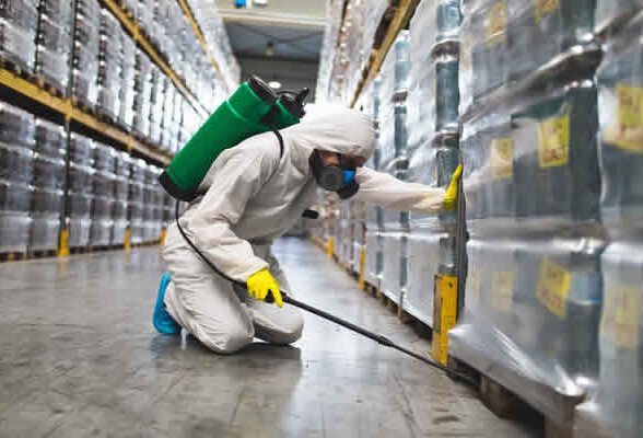 %100 Garantili İstanbul Böcek İlaçlama Hizmeti