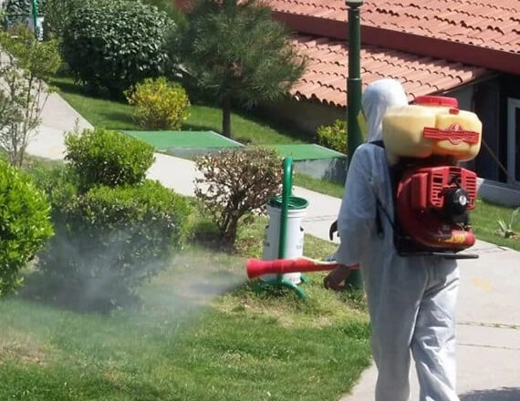 İstanbul İlaçlama ve Pire İlaçlama Hizmeti | Profesyonel Haşere Kontrolü